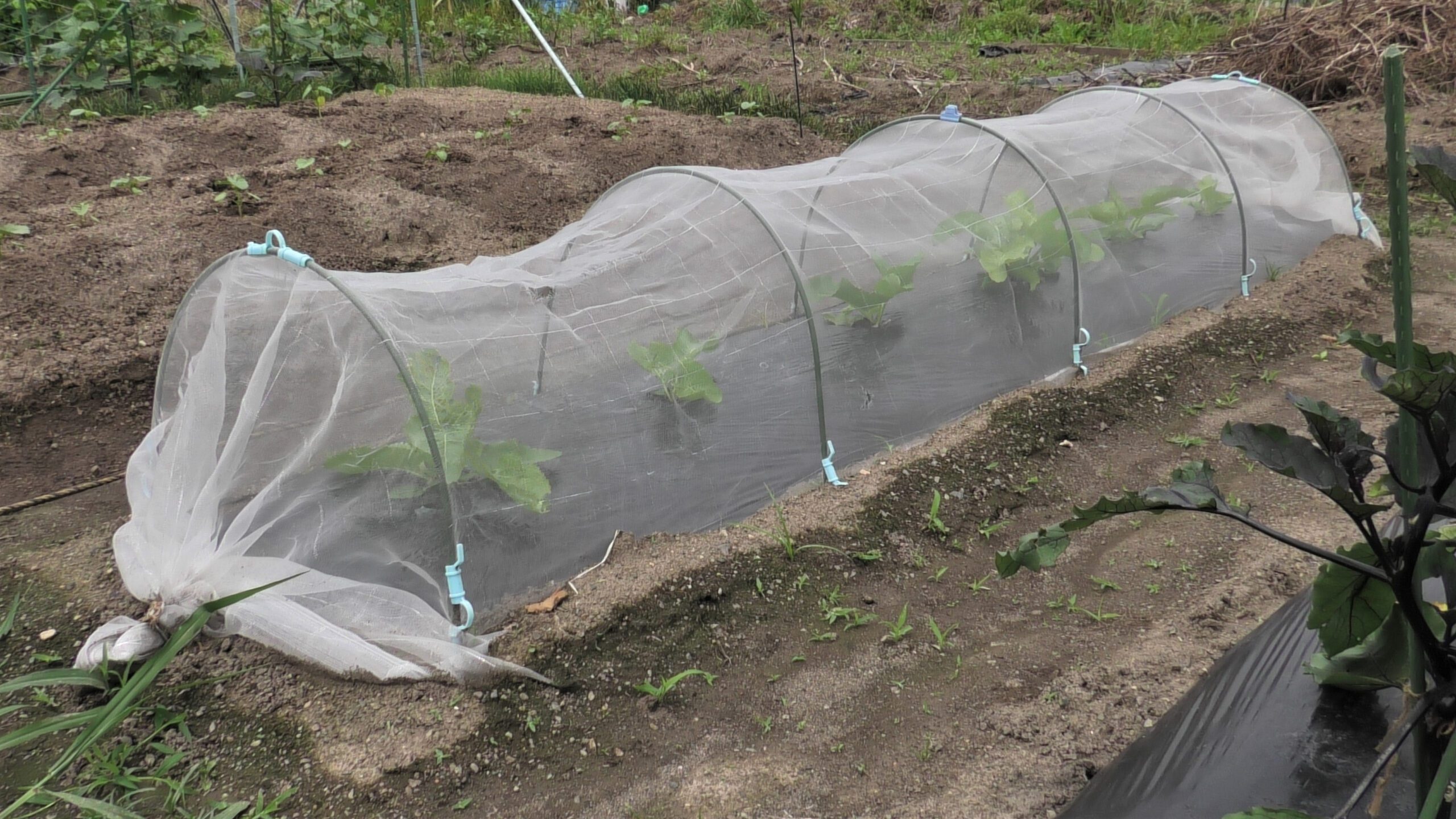 PVC, PE ,PP, ตาข่ายสำหรับการเกษตร และ ก่อสร้าง , ผ้าใบสำเร็จรูป ผ้าใบสั่งผลิตตามขนาด ด้วยประสบการณ์กว่า 25 ปีในวงการผ้าใบ เราได้กลายเป็นผู้จัดจำหน่ายที่ไว้ใจได้ ของลูกค้าทั่วประเทศไทย