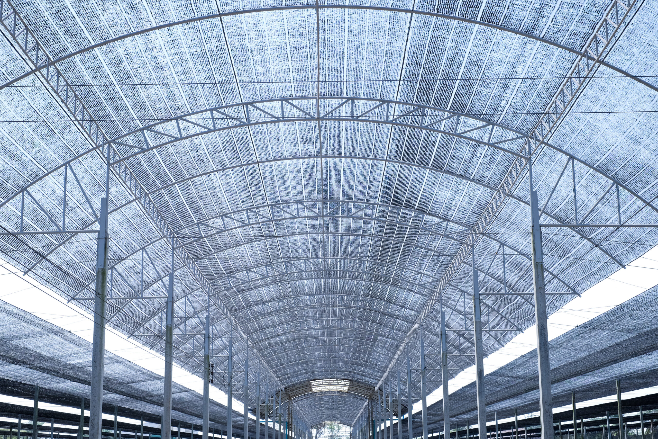 PVC, PE ,PP, ตาข่ายสำหรับการเกษตร และ ก่อสร้าง , ผ้าใบสำเร็จรูป ผ้าใบสั่งผลิตตามขนาด ด้วยประสบการณ์กว่า 25 ปีในวงการผ้าใบ เราได้กลายเป็นผู้จัดจำหน่ายที่ไว้ใจได้ ของลูกค้าทั่วประเทศไทย